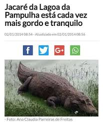 Mestre Jilóba tweet media