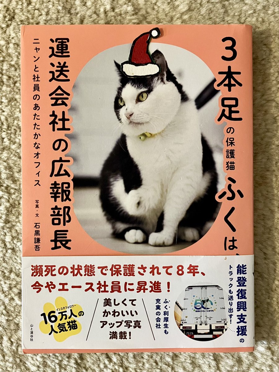 三本足の福鼎 3本足の保護猫ふく😼広報部長 (@fuku_bucho_cat) / Posts / X