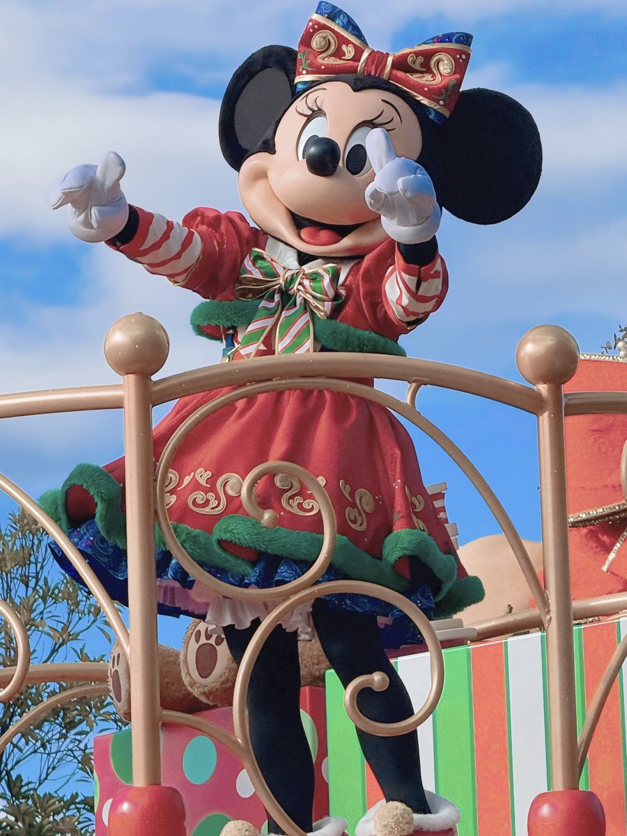 ディズニーで幸せ注入してきた🎄🎅 https://t.co/EdeFQUgVee