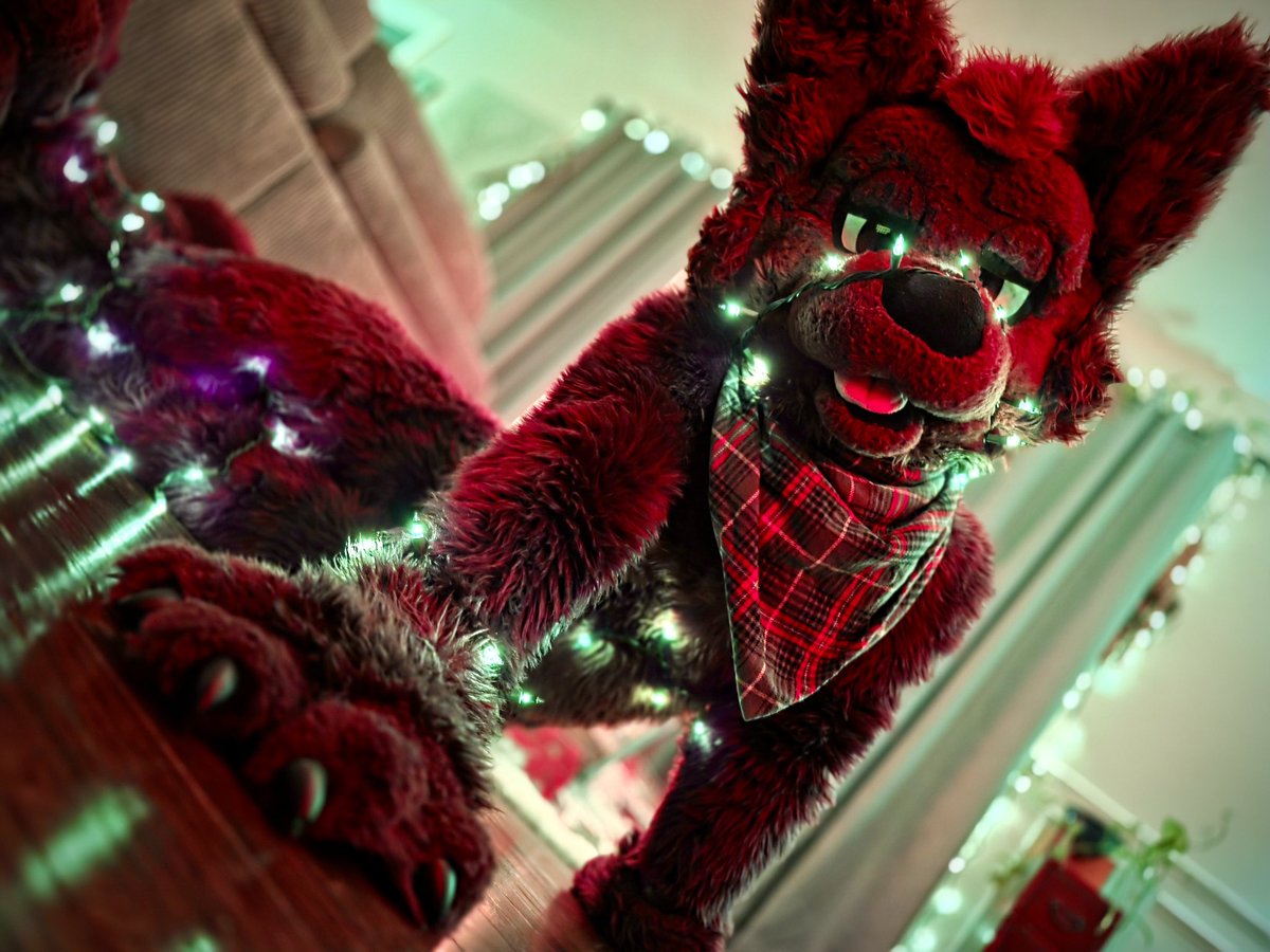 Gwuh🔜TFF tweet media