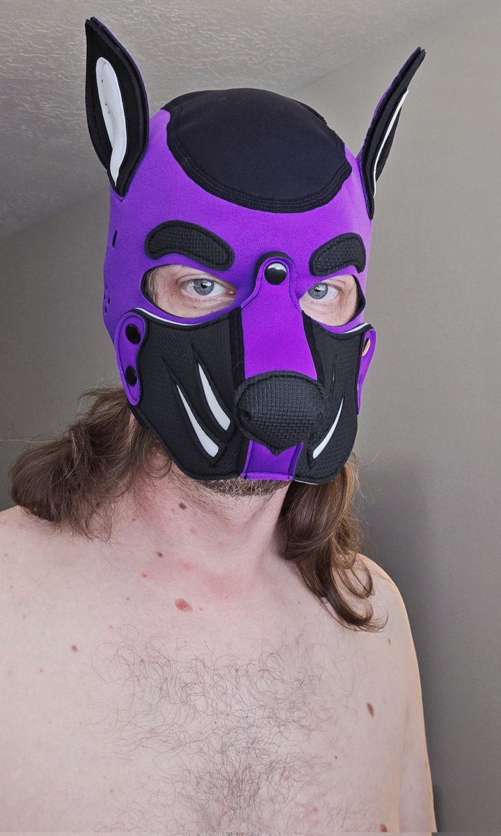 ZedPup's tweet photo. What do YOU think I'm thinking??? https://t.co/hB7uBfLmVA