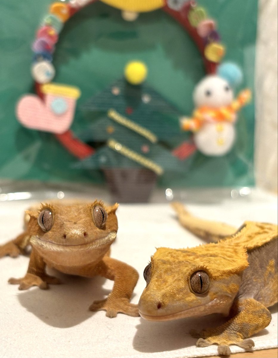 りょー❄︎ tweet media