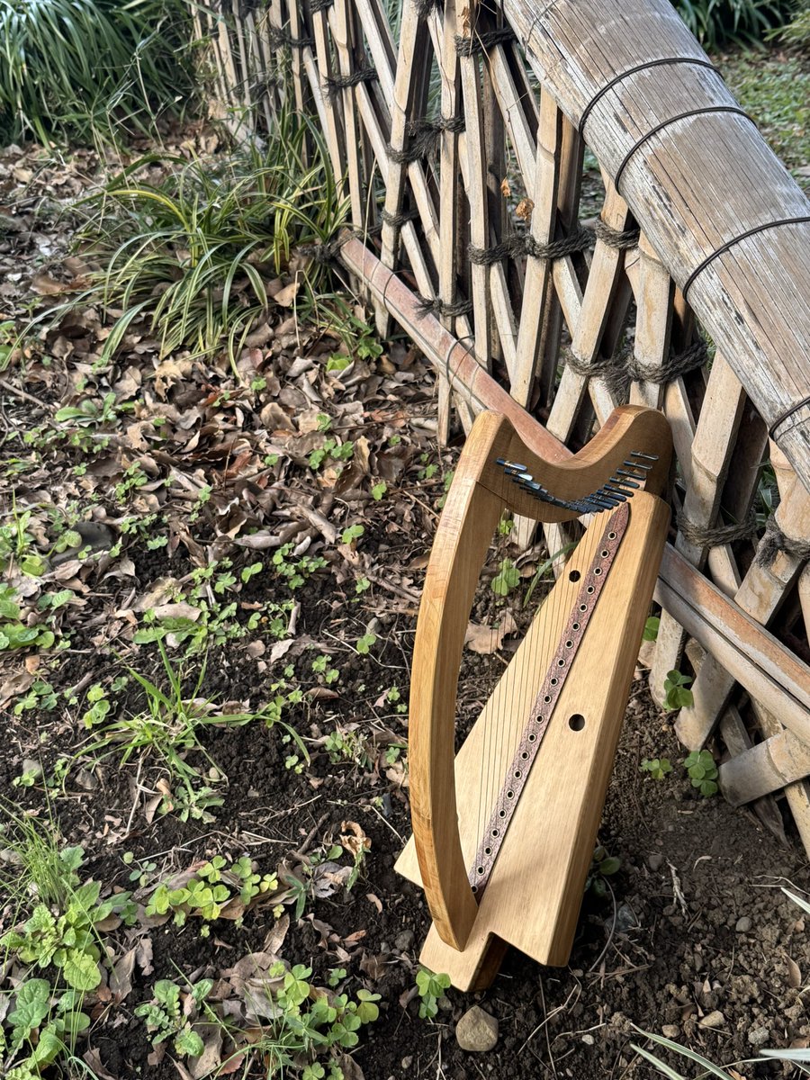 ハープ 寺本 圭佑（金属弦アイリッシュハープ奏者、研究家、製作者