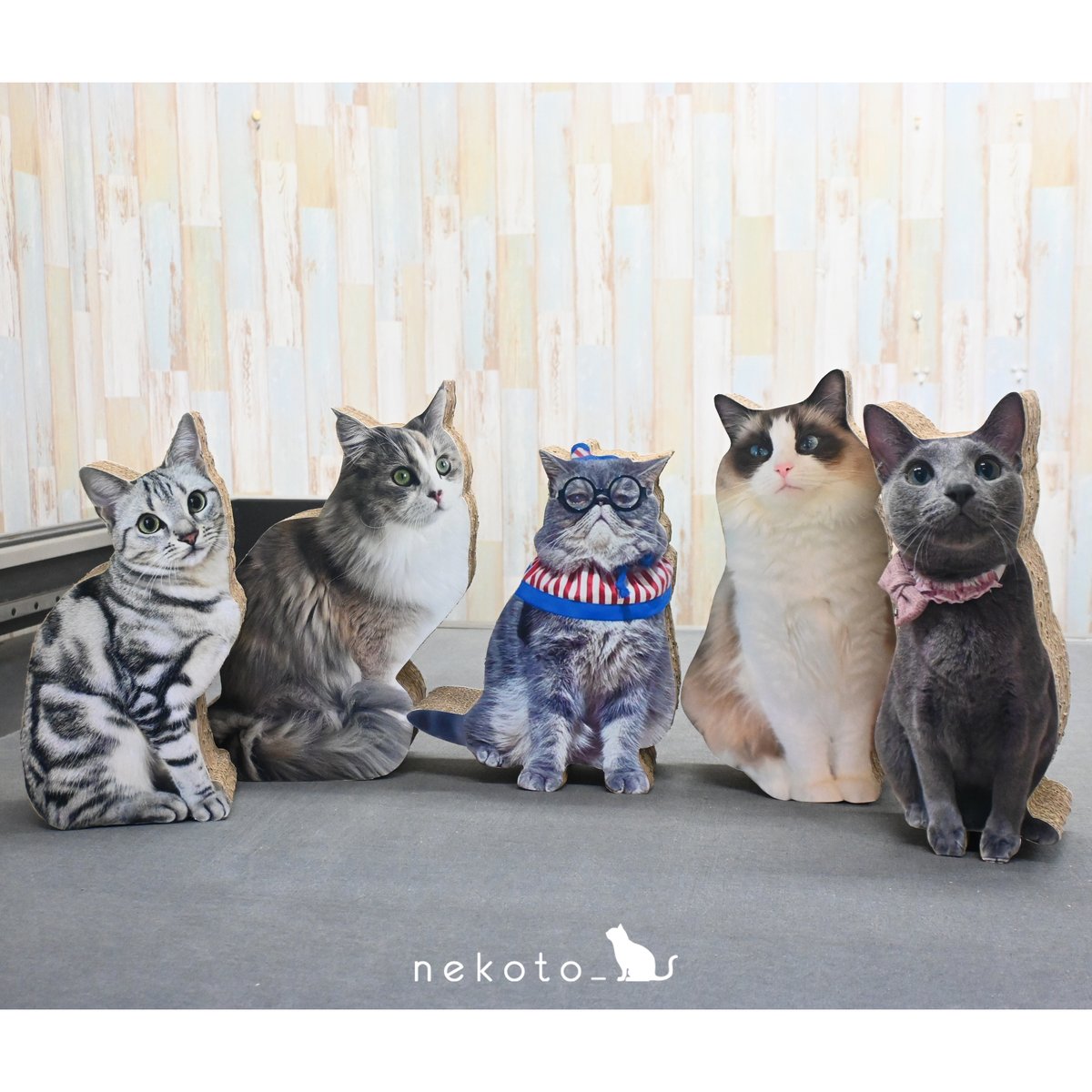 公式】nekoto_ (@nekoto_bando) / Posts / X