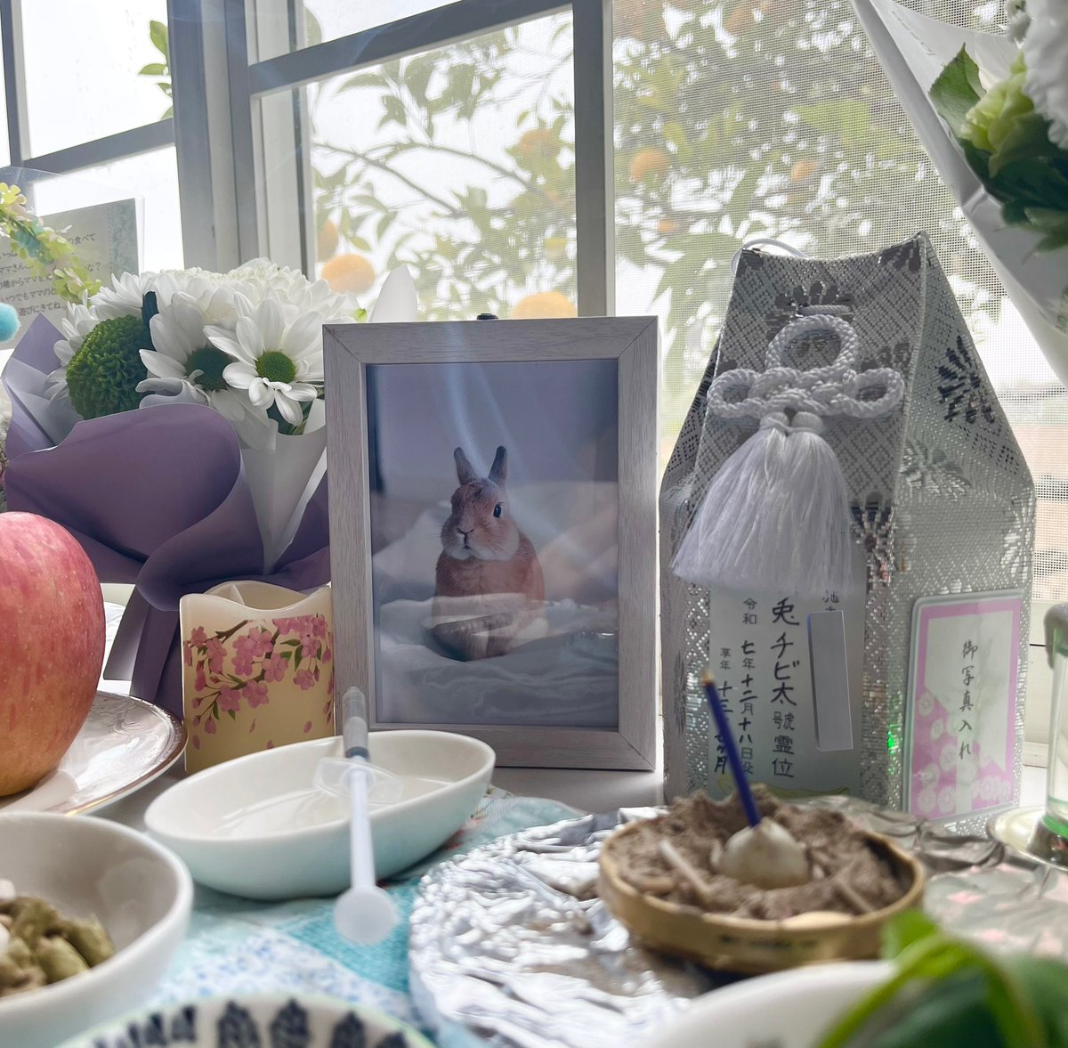 チビ太(CHIBITA🐰)のママ太 (@piccolocibi) / Posts / X