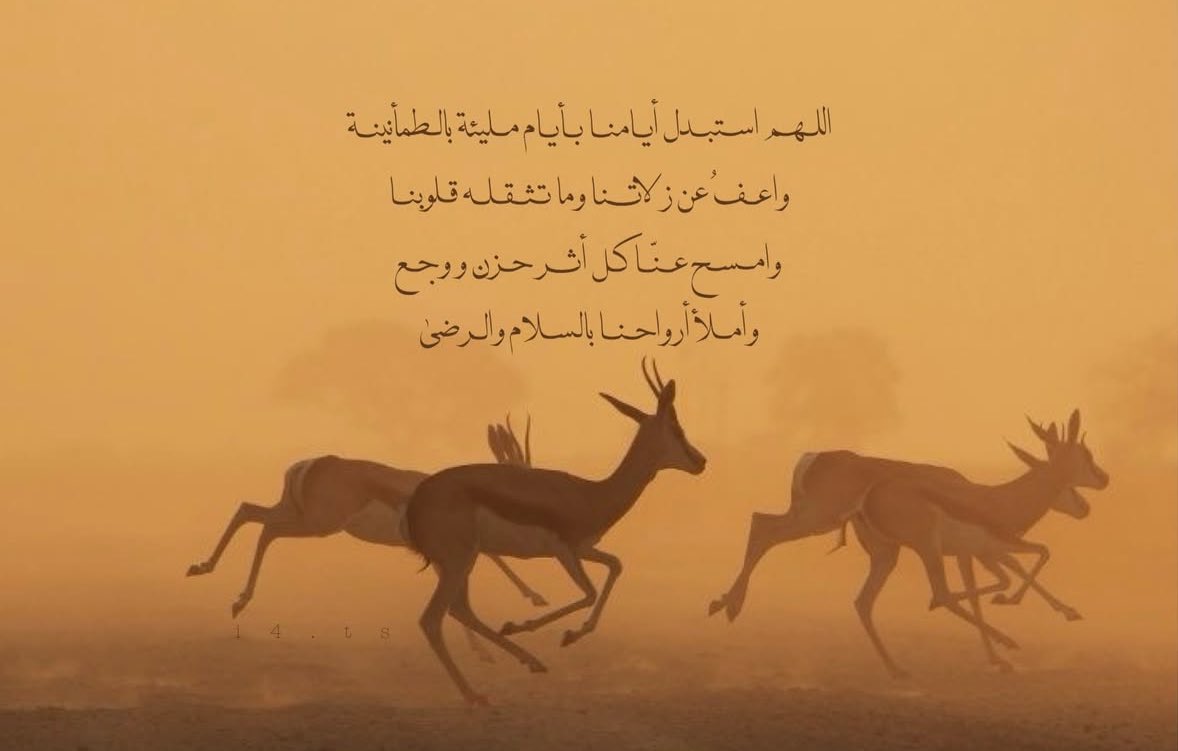f (@fafemah) on Twitter photo 