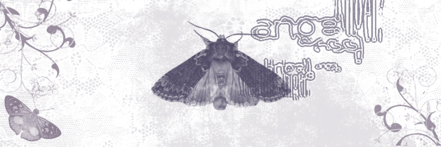 ִֶָ (@cryvnus) on Twitter photo 