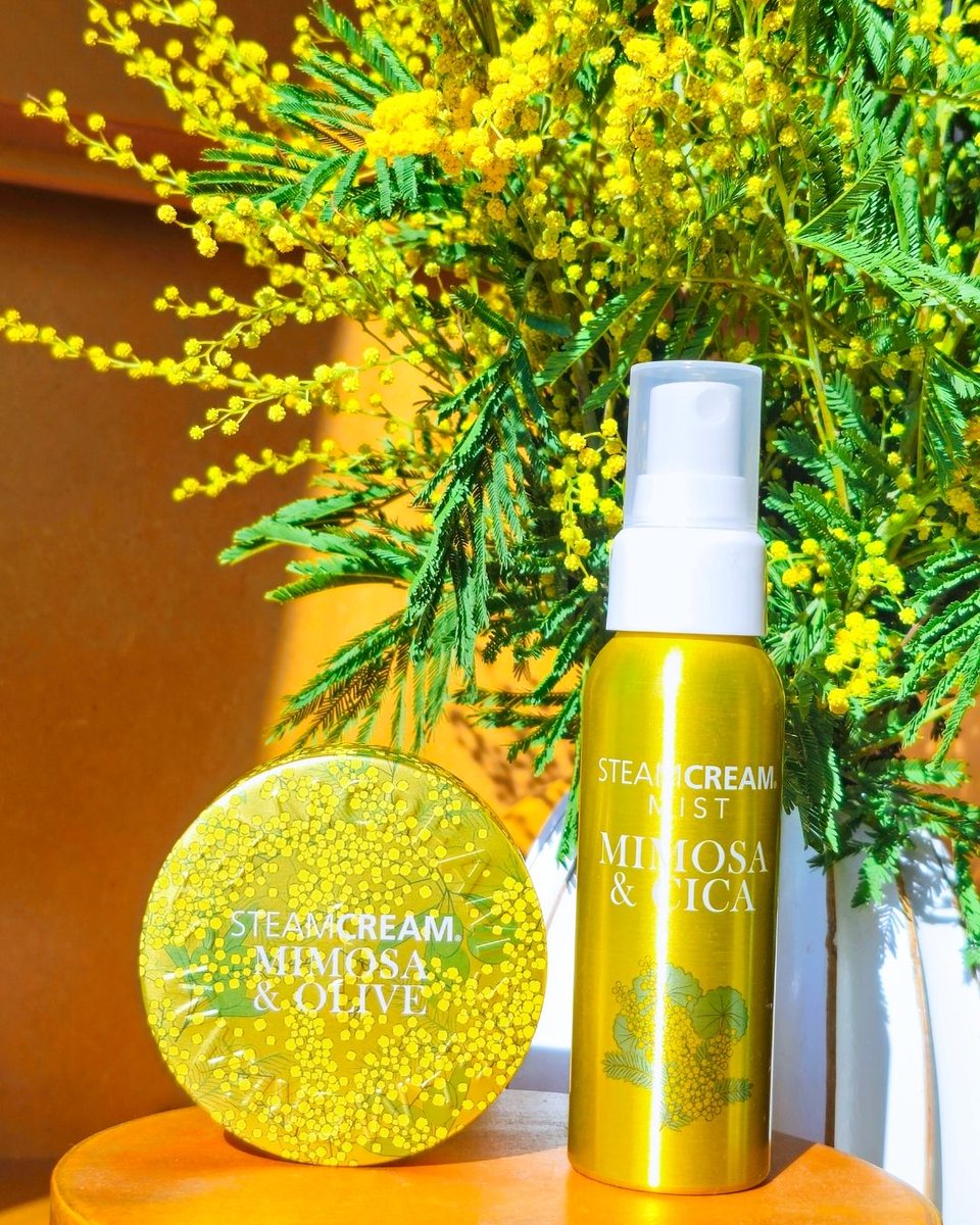 スチームクリーム (@steamcreamjapan) / Posts / X