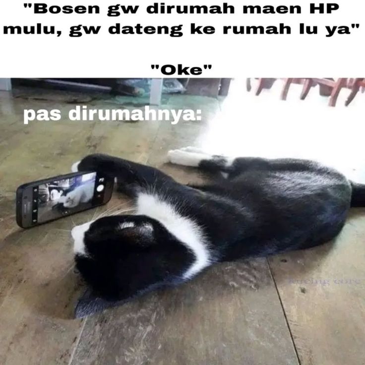 wilonaaa's tweet image. 