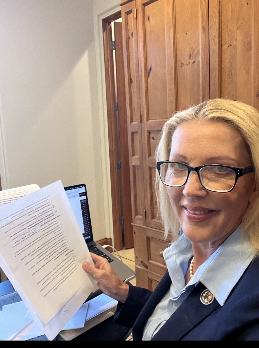 Sue Rezin tweet media