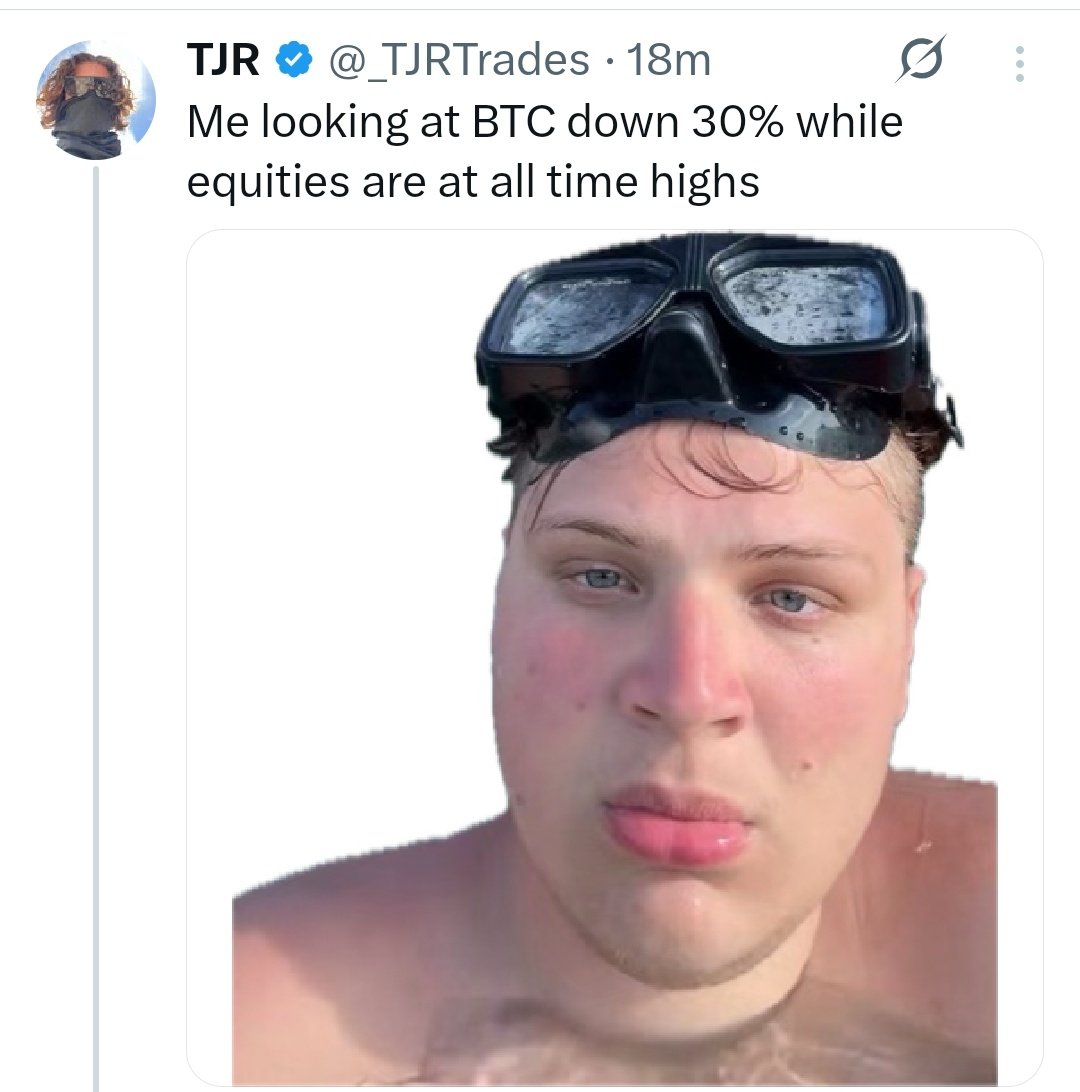 noob tweet media