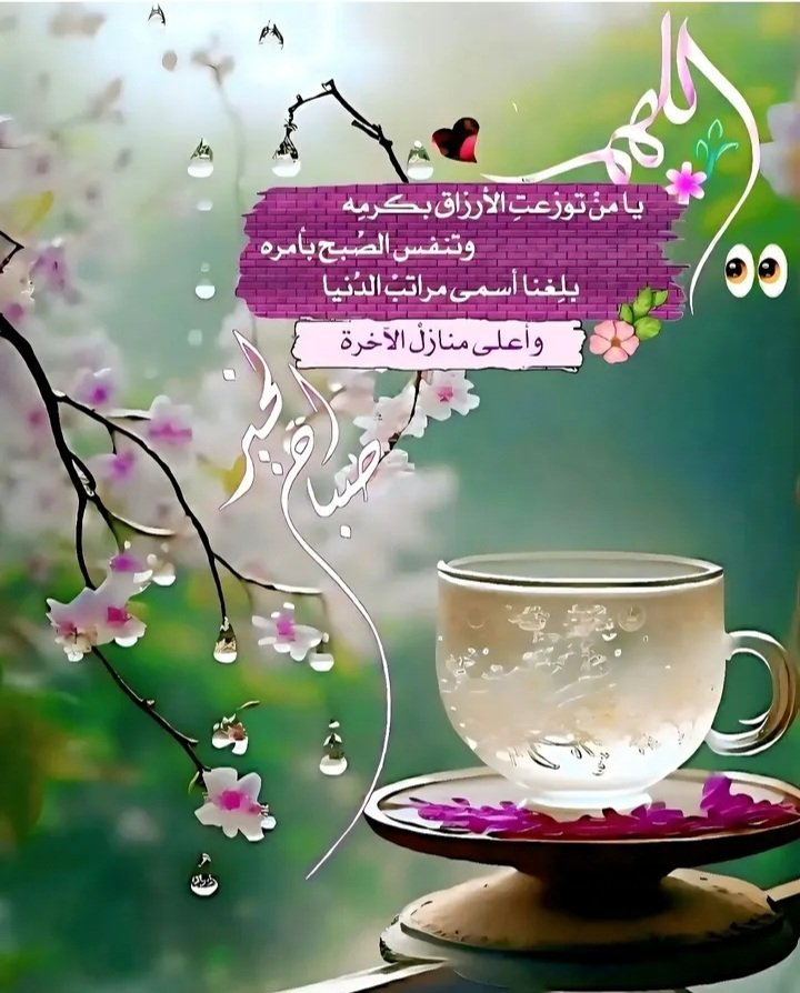 صمت المشاعر (@memo0o891) on Twitter photo 