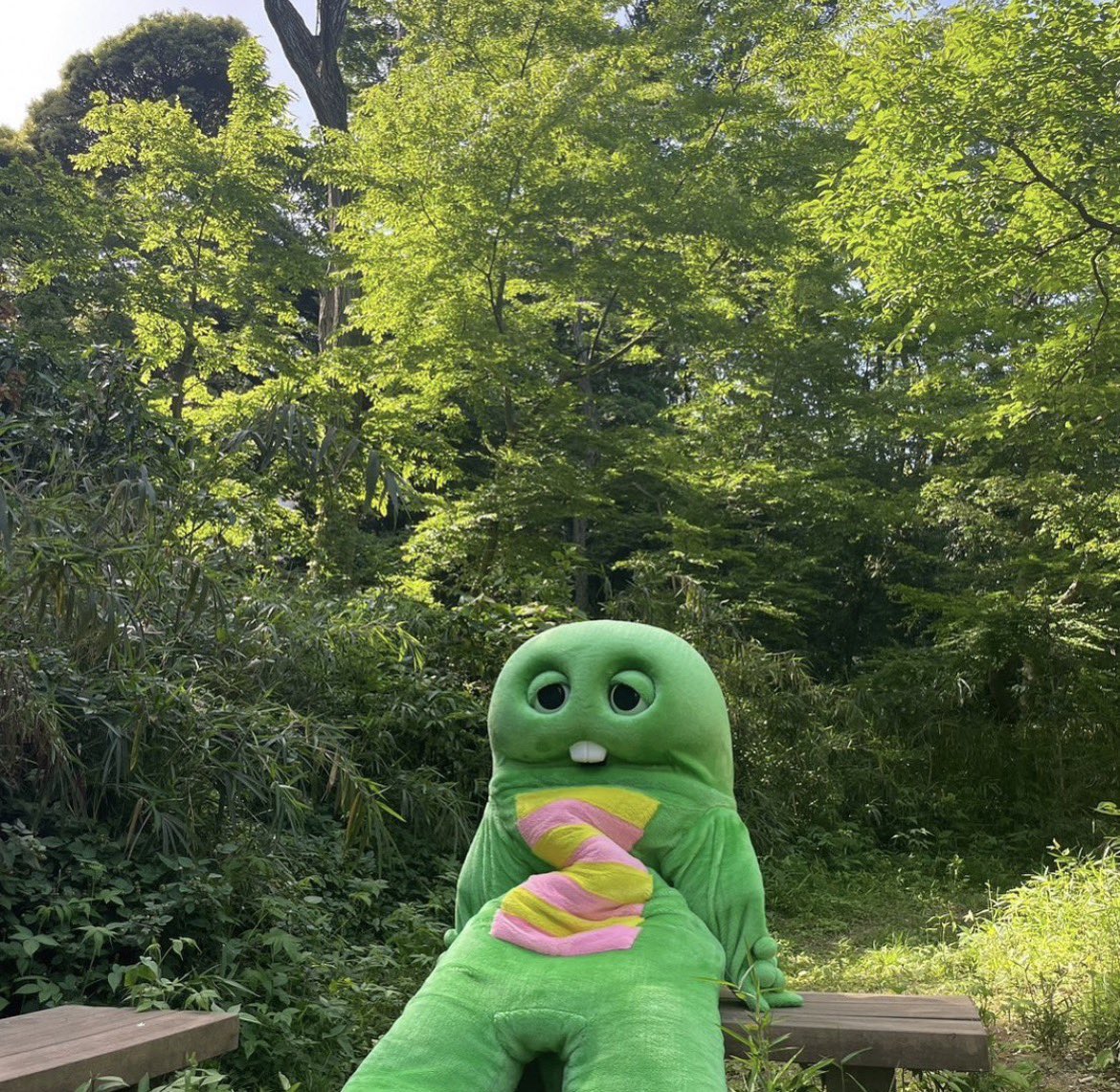 ⛧°. ⋆༺☾ 𝓩𝓮𝓵𝔂 𖤓༻⋆. °⛧ / New SSR Meteon please tweet media