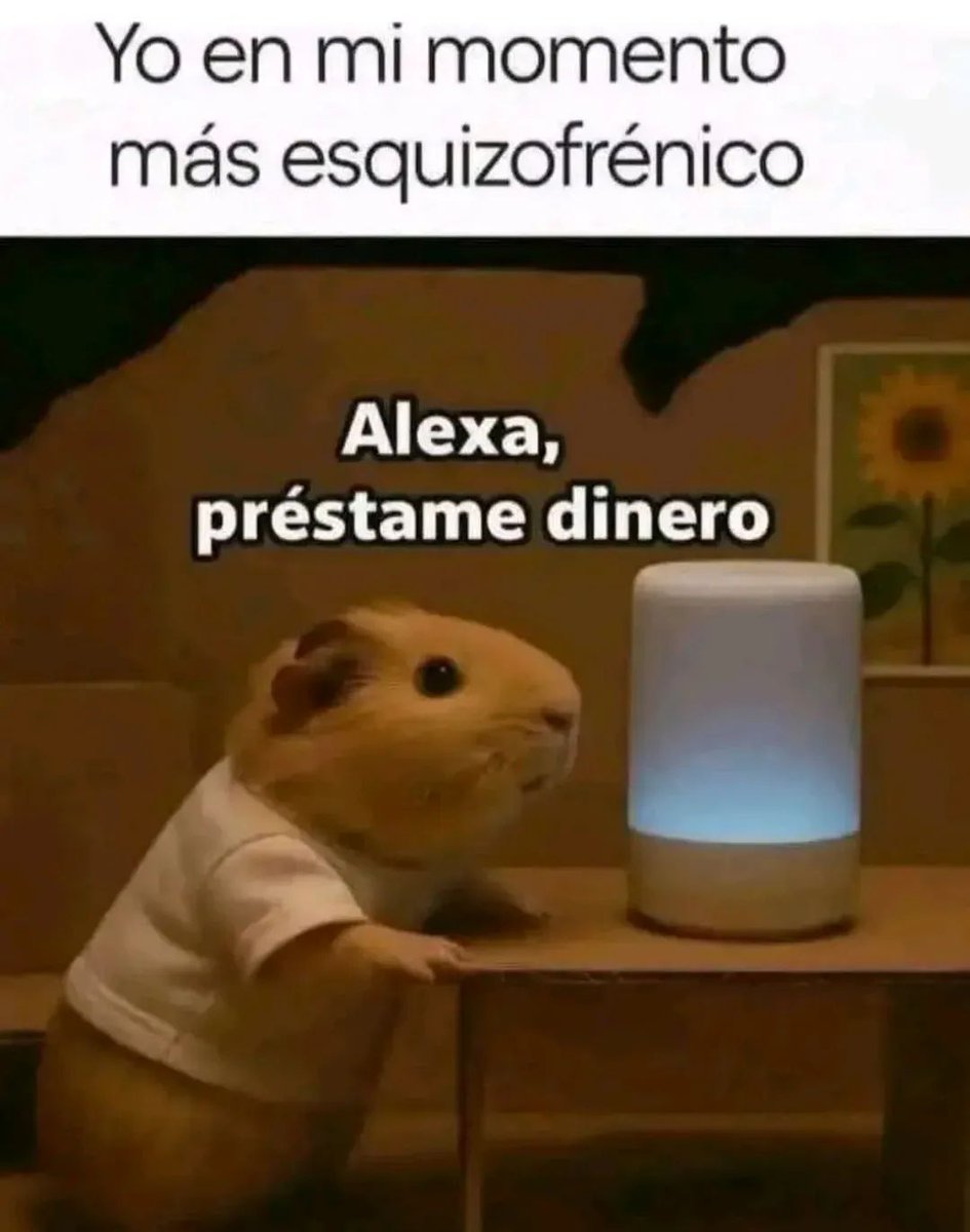 nacional_memes's tweet image. 