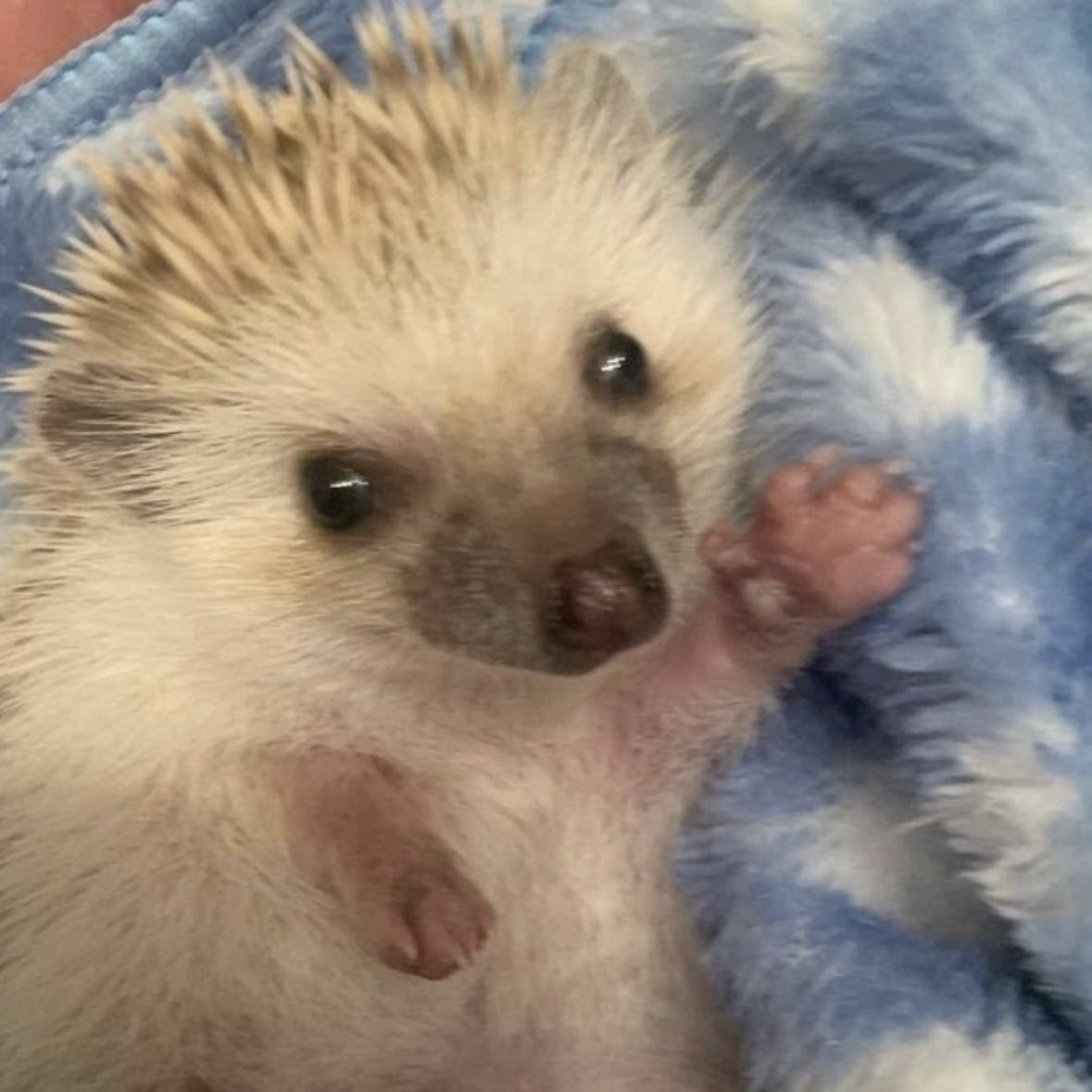 kipgradys's tweet image. 