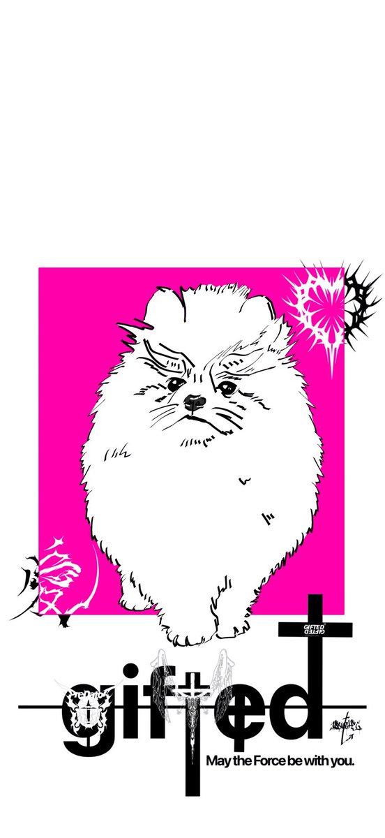 無修正ぽこみ🎀⸝⸝⸝ tweet media