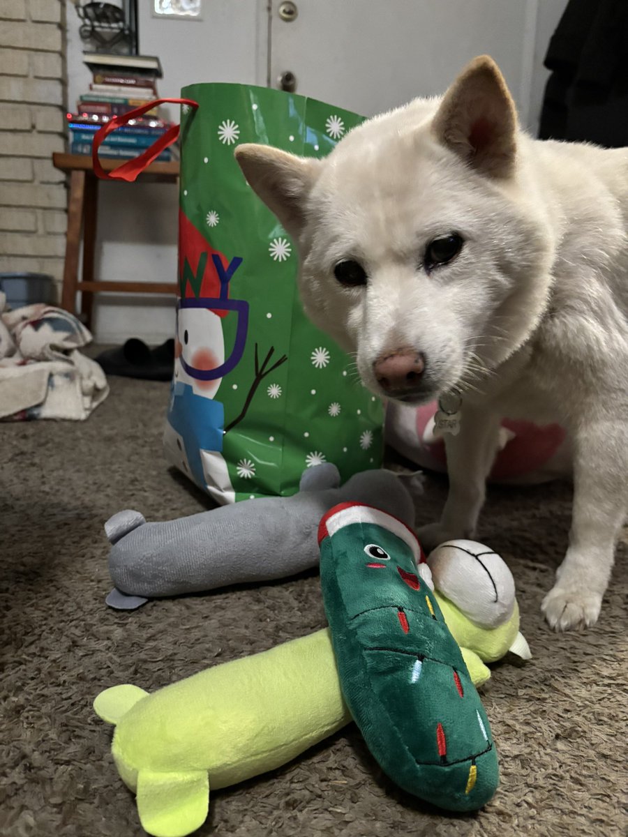 Vara 💎 tweet media