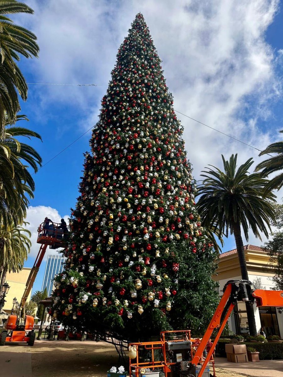 Christmas hasn’t arrived yet, but happiness already has.