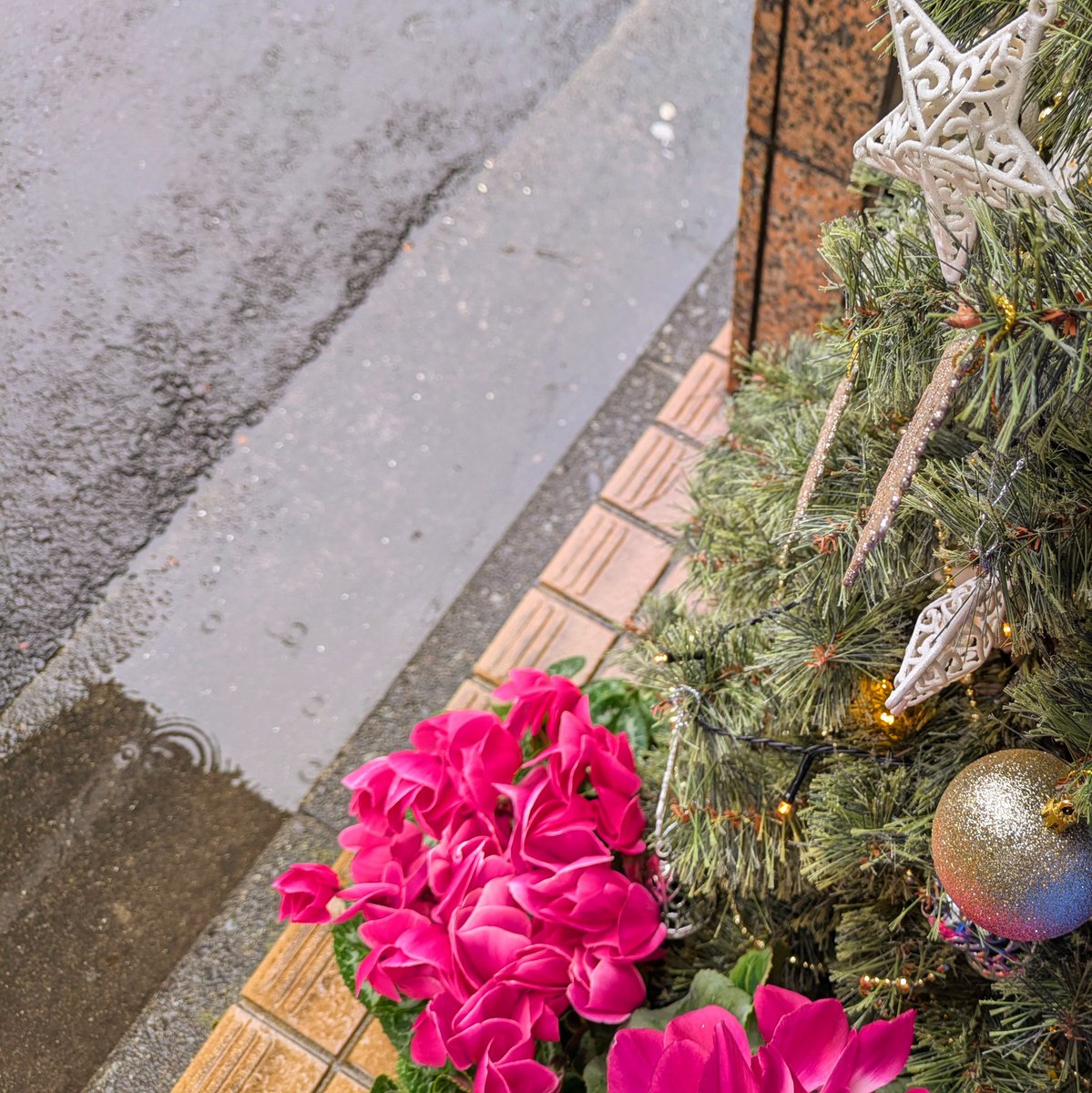 クリスマス・イブは
雨降りで
40数年ぶりの寒さになるかも
ですって

定休日にあたりますが
営業しております
だってクリスマスですもの🎄