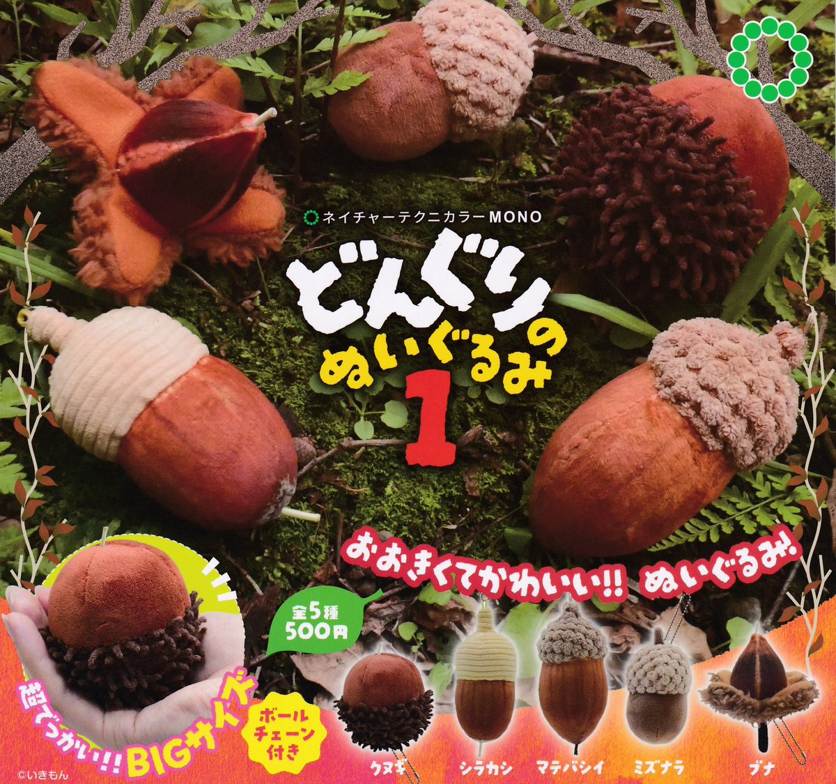 どんぐり 🆕12/24(水)本日入荷情報⑫🎵 🌟どんぐりのぬいぐるみ1 🌟どんぐりの