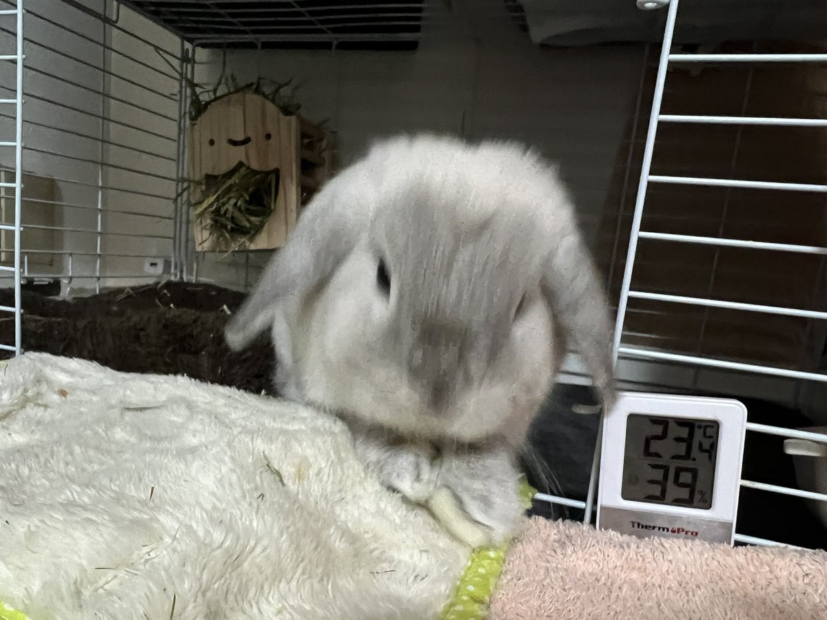 のりすけ🌗 (@norisuke3280) / Posts / X