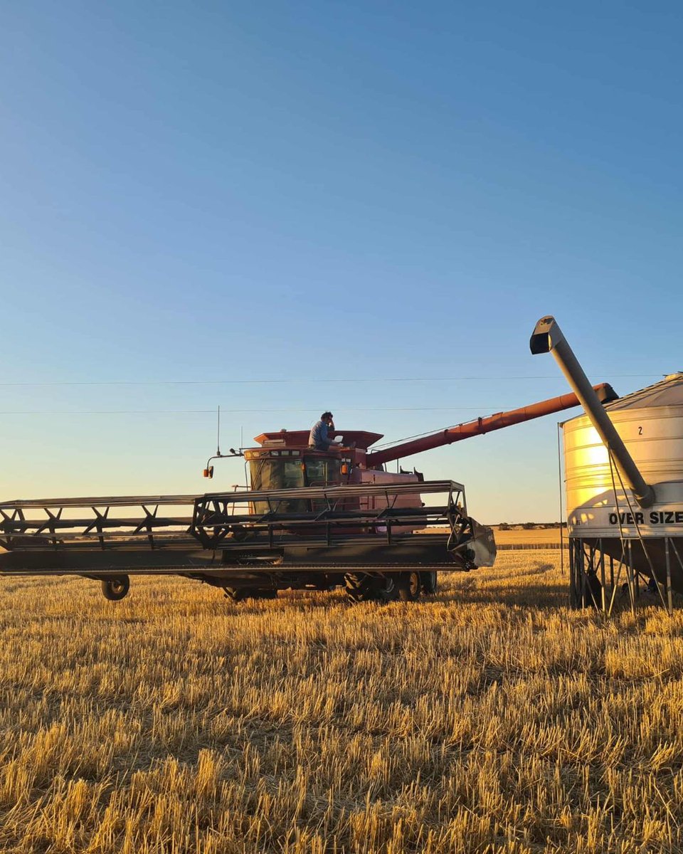 CBH Group tweet media