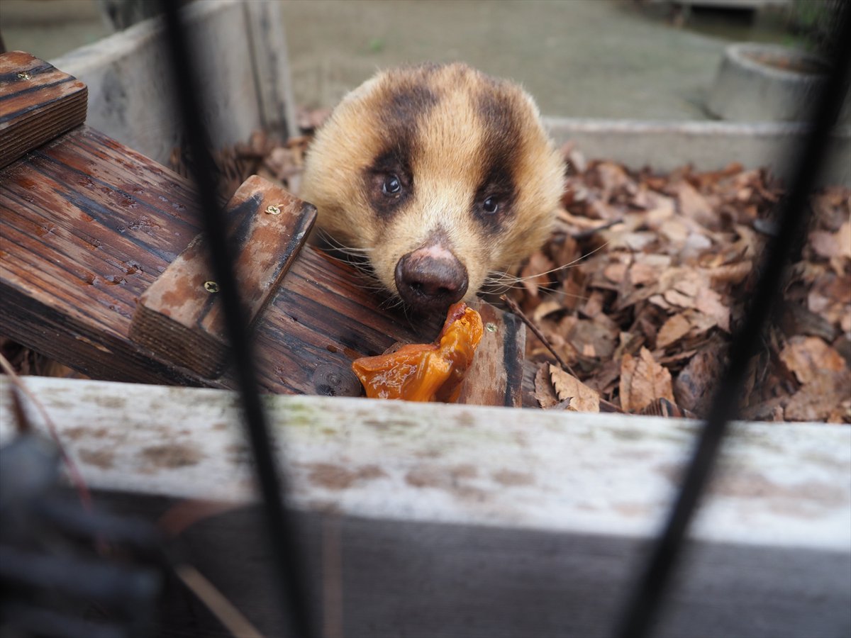 ⭐︎アユミンページ⭐︎ いざ！！！🩵 見かけたら声かけてくださいね😍😍 ジンくん！待っててね
