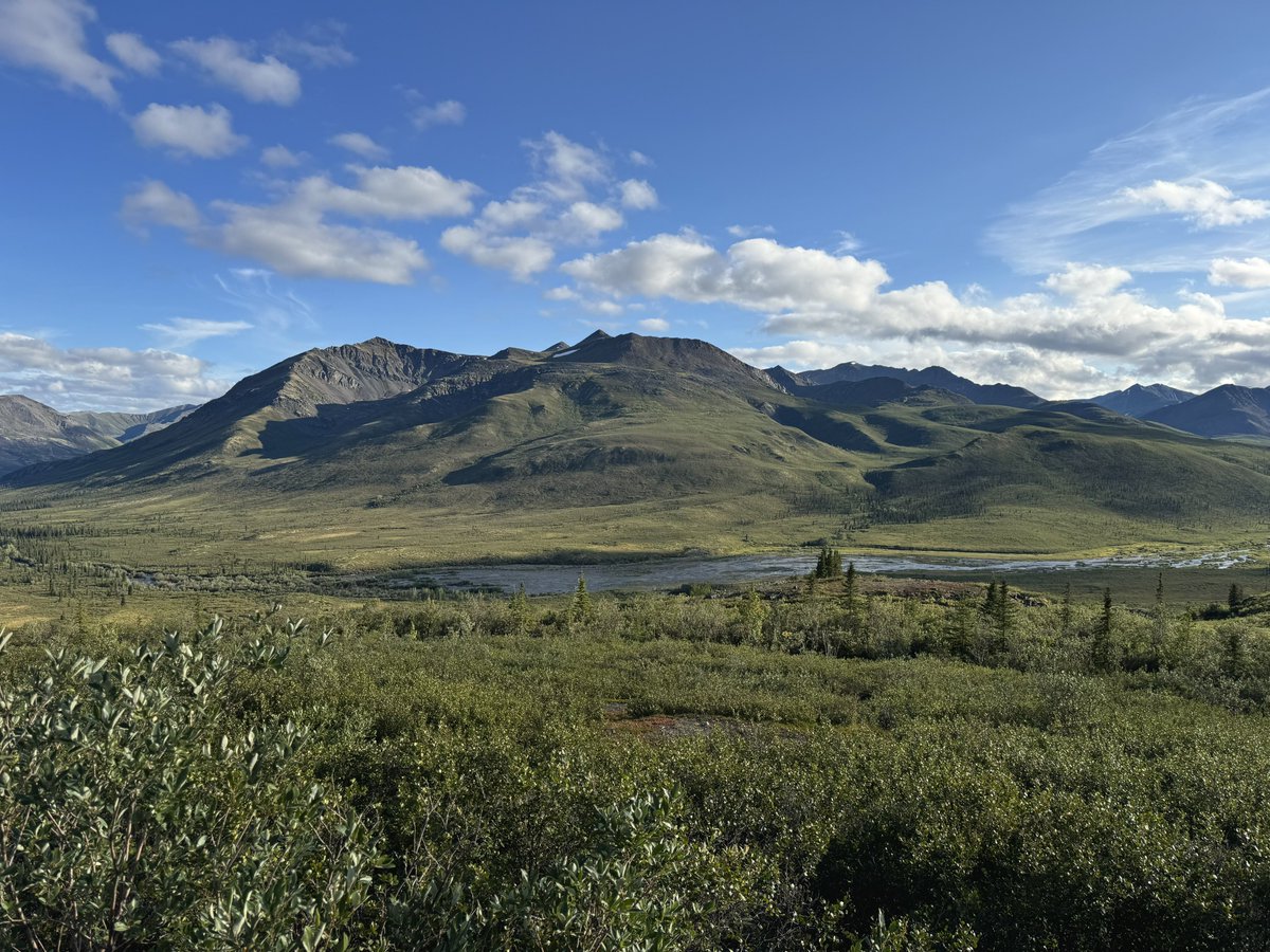 Mason (@resepuff3) on Twitter photo 