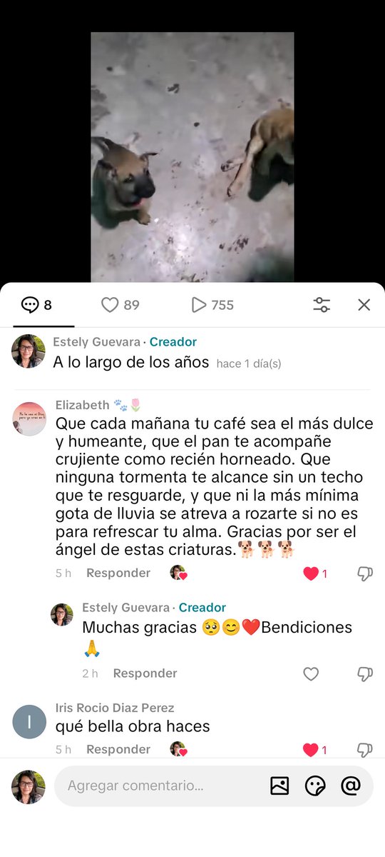 Alguien me escribió esto en Tick Tock 🥺 Benditas palabras que llegan al alma ❤️😊 Simplemente hermosas 😊💕