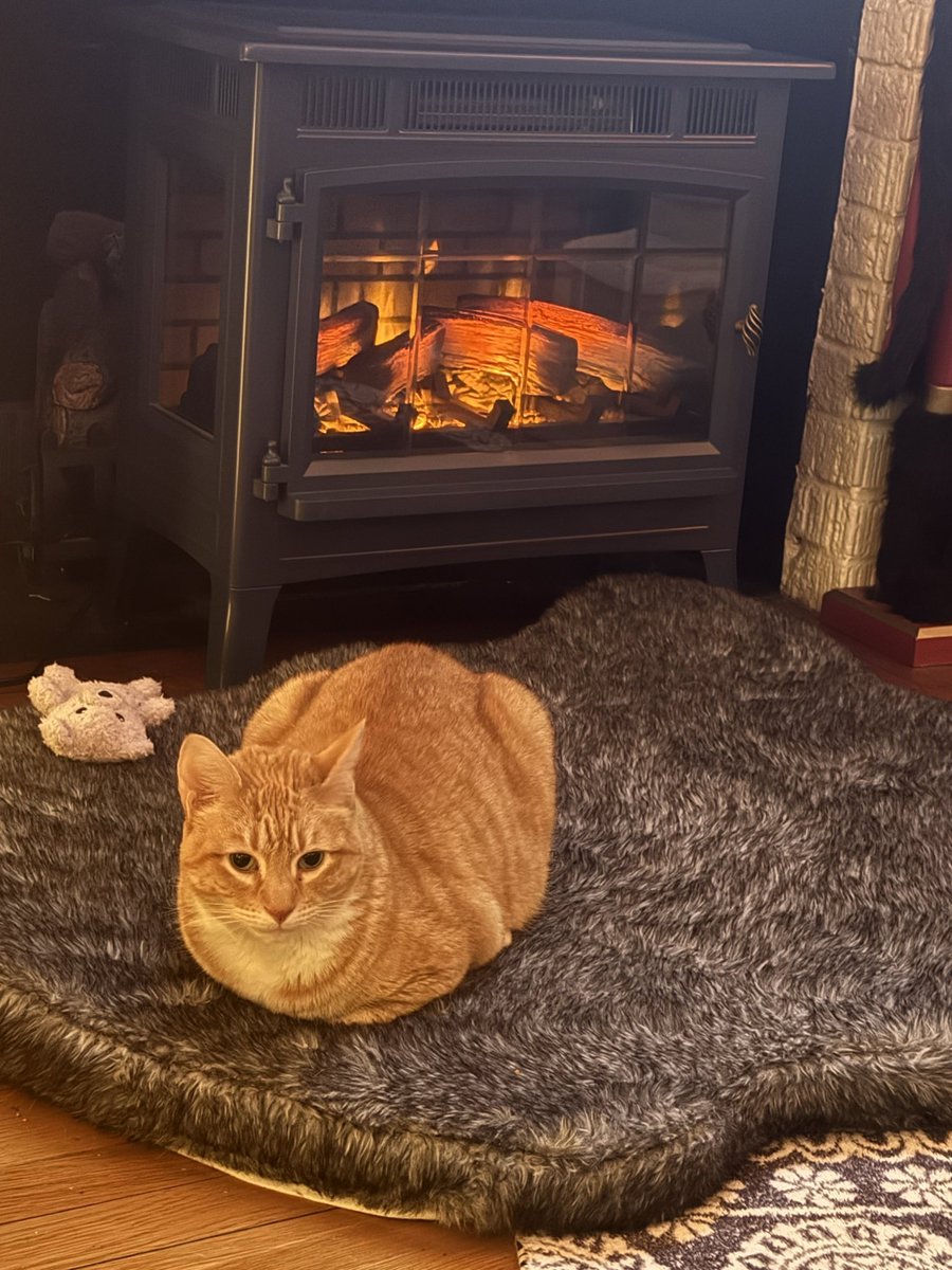 One generous serving of orange loaf. Still warm