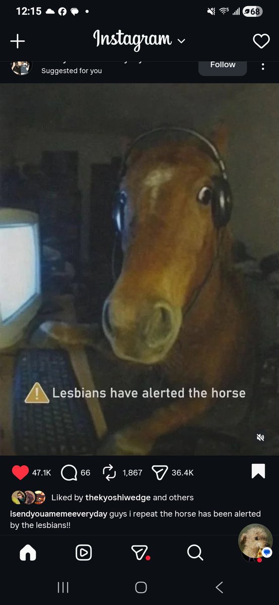 SquidBarf tweet media