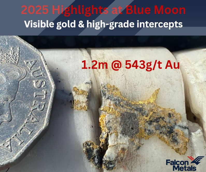 Falcon Metals Limited (ASX: FAL) tweet media