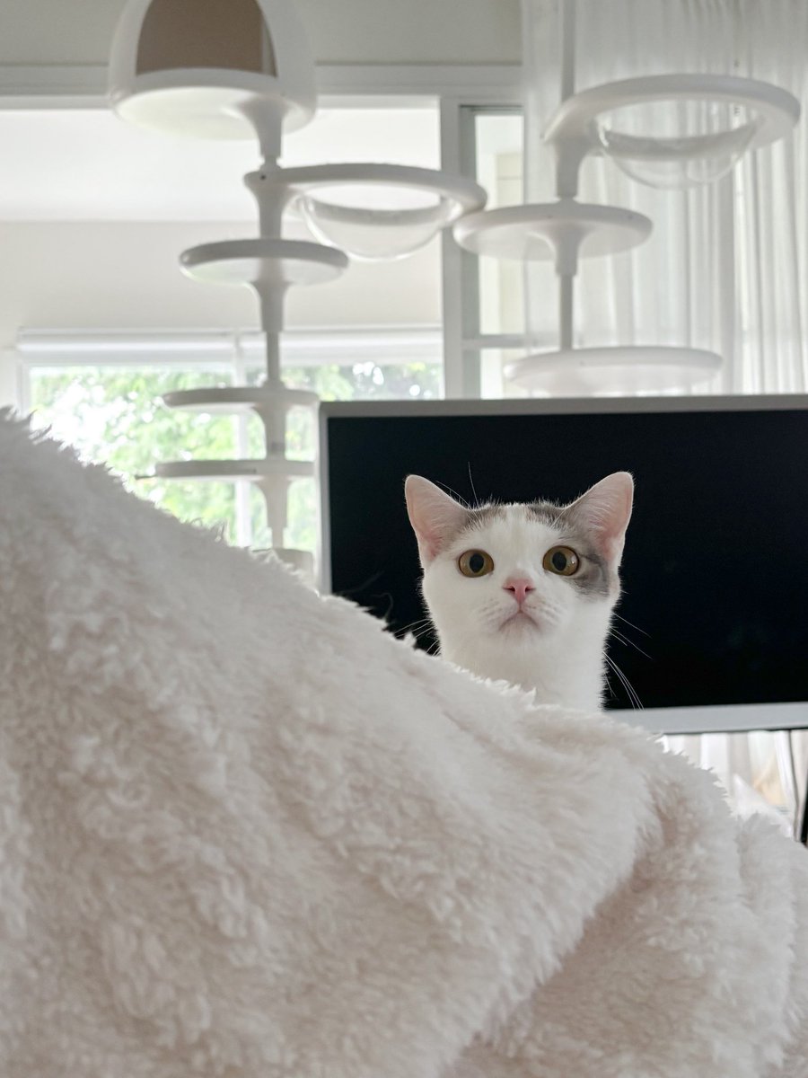 มันอาจเป็นเรื่องของบุคคล

ยายถ่าย                                   น้าเขมถ่าย