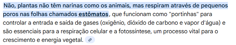 Tales Oliveira 🏳️‍⚧️ tweet media