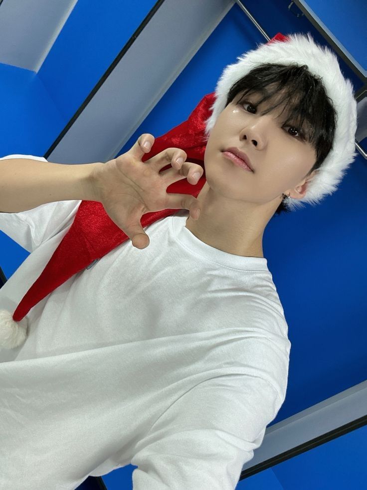 新品！！SEVENTEENクッキー型ホシくんいっぱい♡ 6684015884.jpg