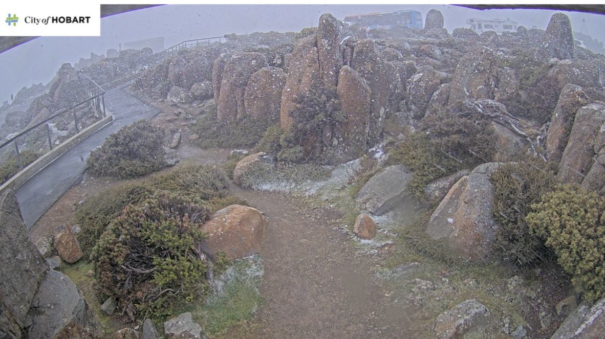 Michelle Cooling tweet media