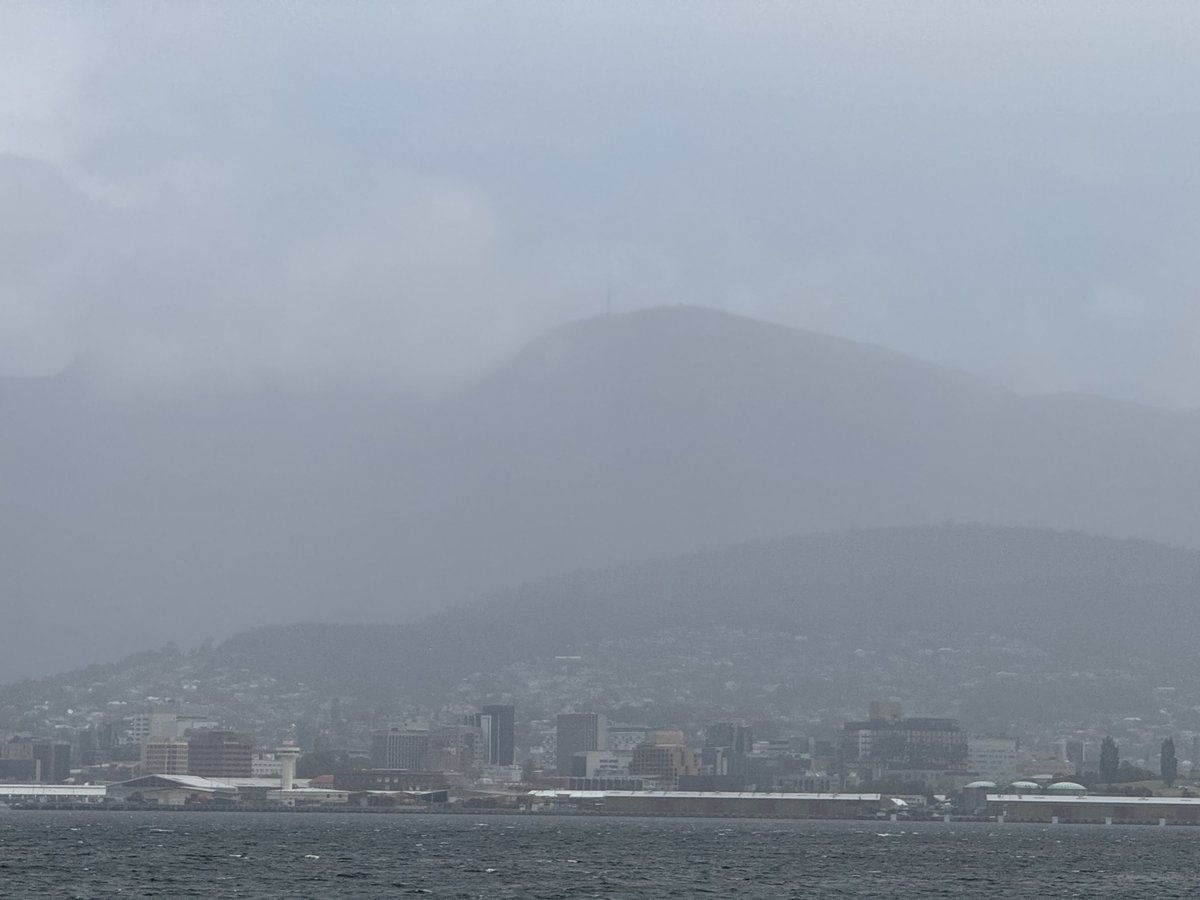 Michelle Cooling tweet media