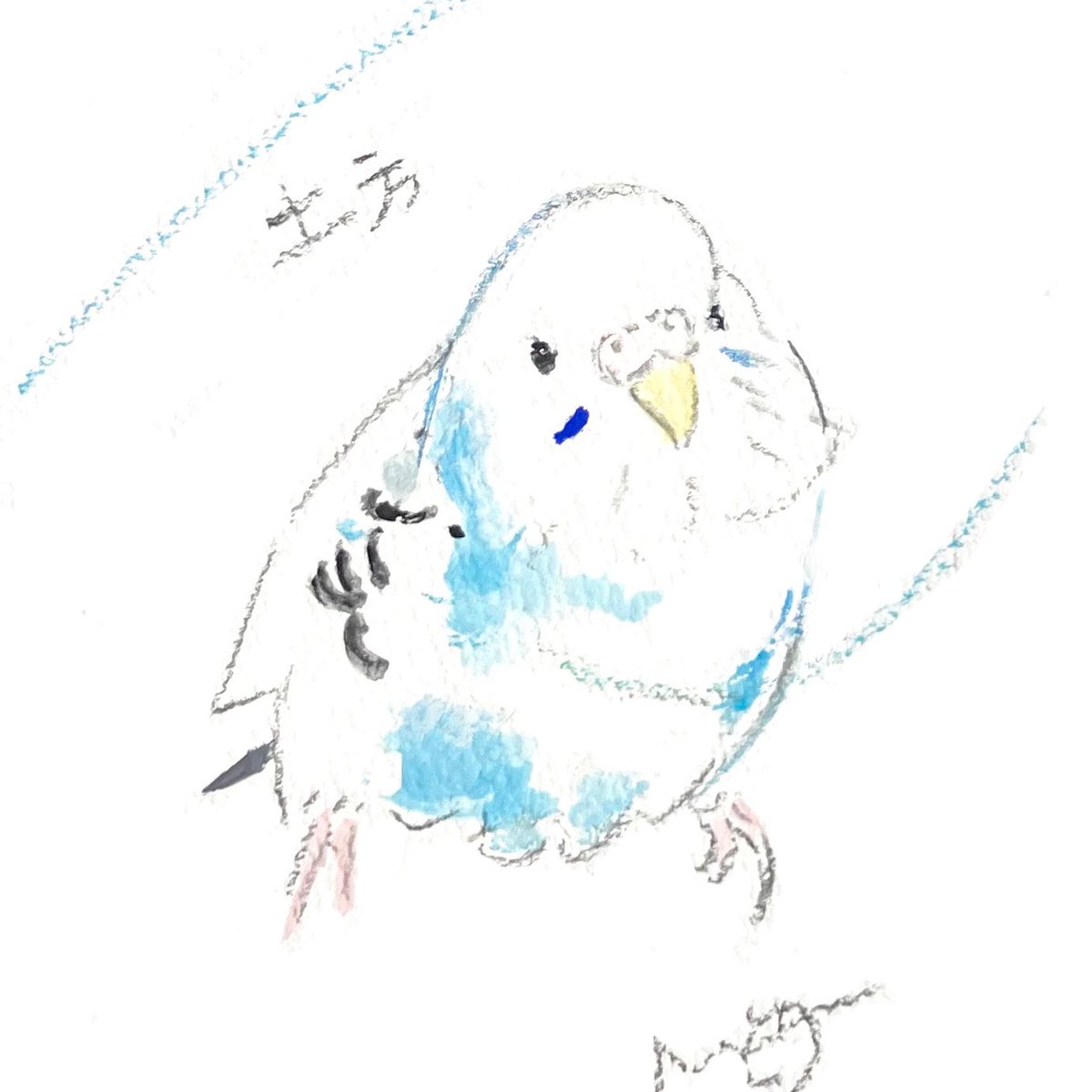 okumura_michiyo's tweet photo. オーダーイラスト
ポヤっとした表情がかわいい
セキセイインコさんです
#小鳥時光 4.0 #kotoritime
(イベントは終了しました https://t.co/o38JnMVgKj