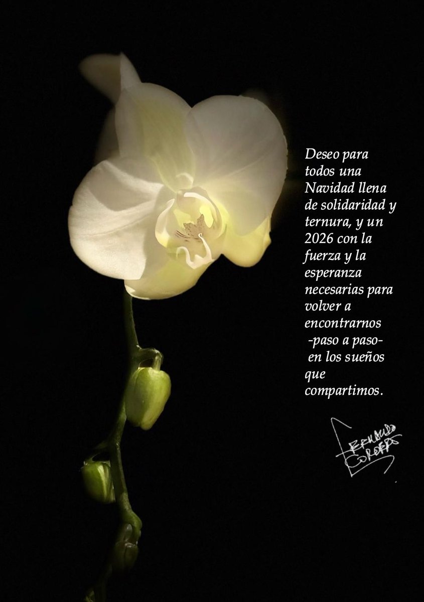 Fernando Cordero Cueva tweet media