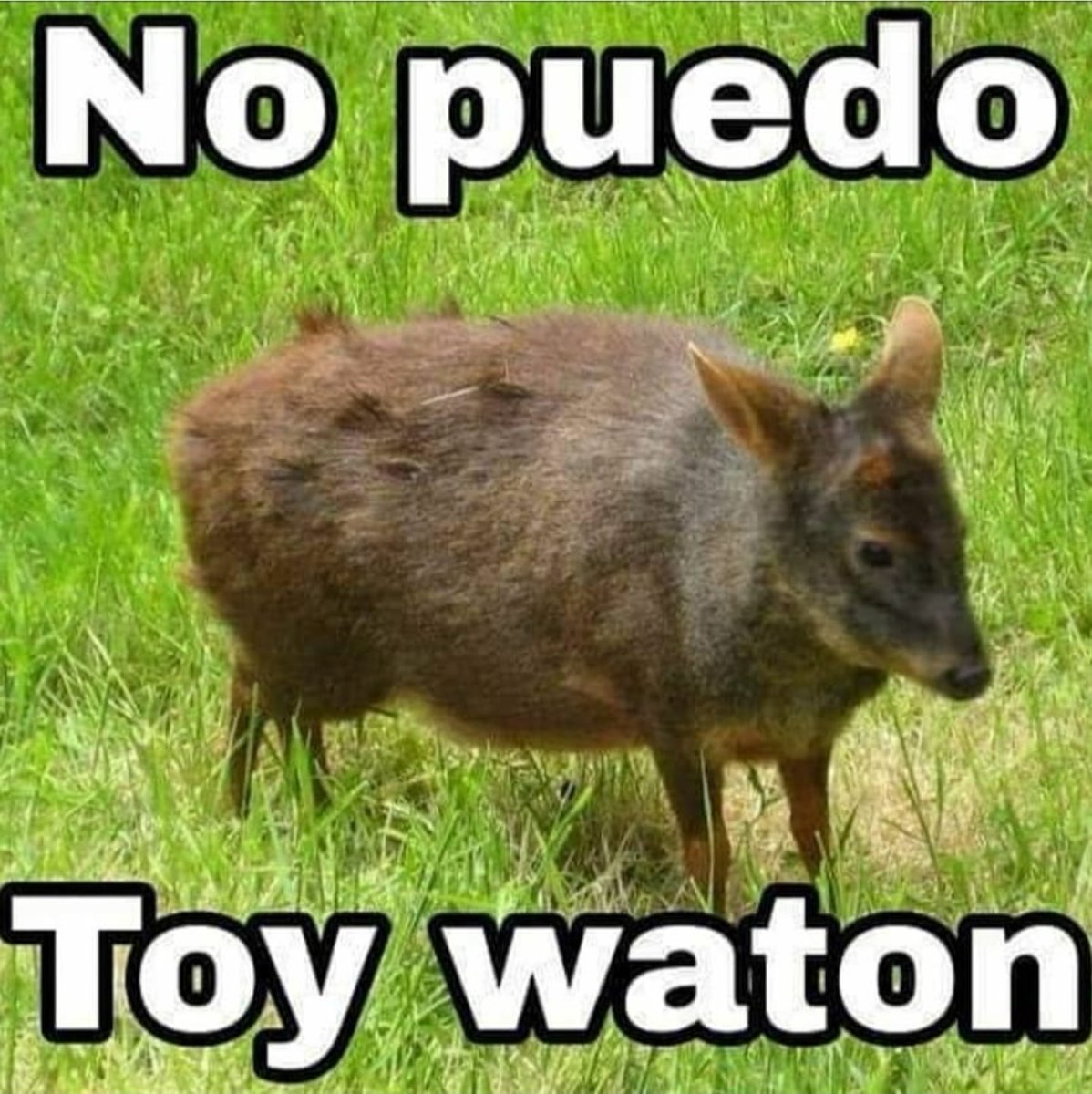 LaPanteraAugust's tweet image. 