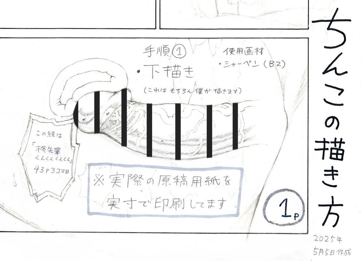 アナログでちんこを描くのが本当に大変なので、アシスタントさん用にちんこ描く手順の冊子を作りました。
せっかく描いたので共有します。 