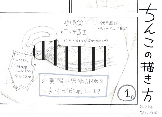 アナログでちんこを描くのが本当に大変なので、アシスタントさん用にちんこ描く手順の冊子を作りました。
せっかく描いたので共有します。 