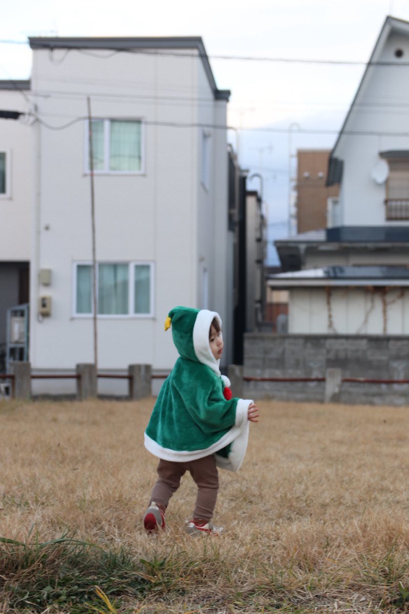 snowballzn6's tweet photo. 我が家のクリスマスツリーさん可愛い🎄 https://t.co/GcSSmEkphv