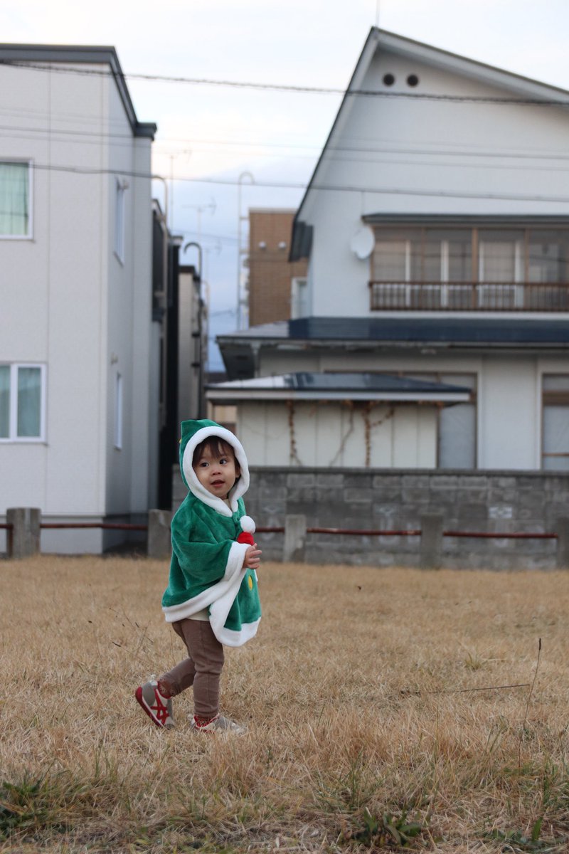 snowballzn6's tweet photo. 我が家のクリスマスツリーさん可愛い🎄 https://t.co/GcSSmEkphv