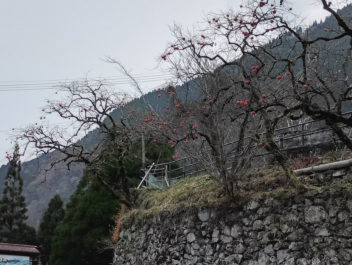 田中葵葉｜秘境の文筆家 tweet media