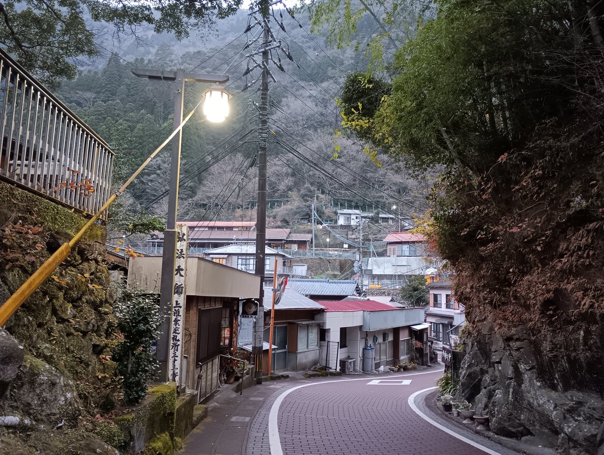 田中葵葉｜秘境の文筆家 tweet media