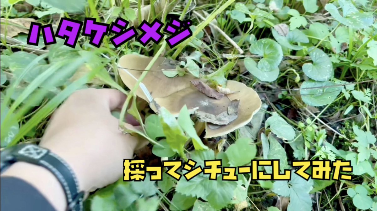 今日はとある所でラフマニノフ2番の伴奏を弾いてきました。今年のピアノを弾く仕事はこれで終了です。来年も宜しくお願いします。弾き始めは1/11第一生命ホールです。
時間ができたのでせっせとスマホの中を整理中。これでまた容量が軽くなりました笑
youtu.be/6OqEZk2AiGU