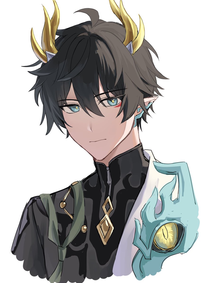 【専用ページ】しらすどん様 ウィッグオーダー 丹恒・騰荒 五次元 崩壊スターレイル コスプレ 丹恒・騰荒 ウィッグ : 五次元