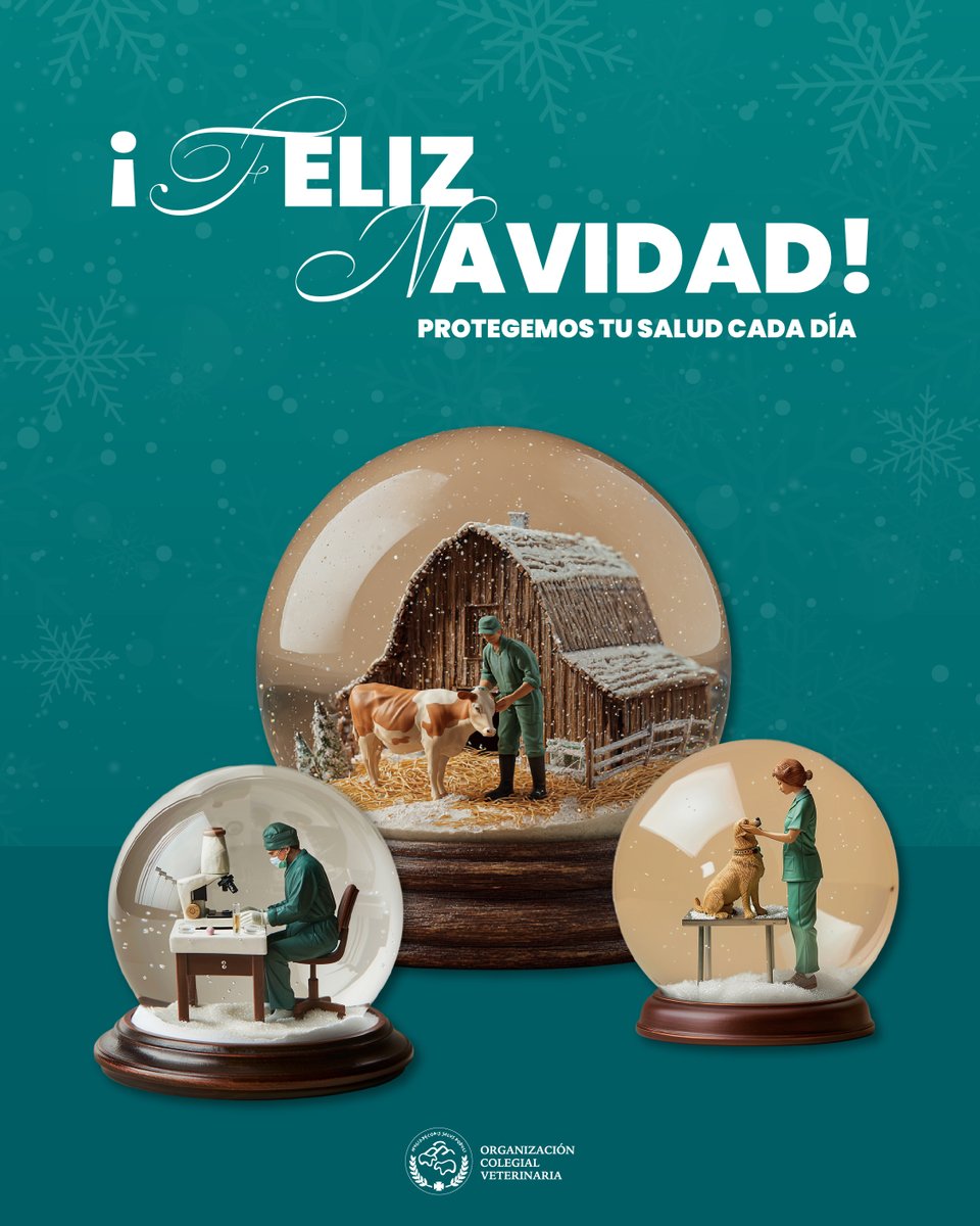 OCV España tweet media