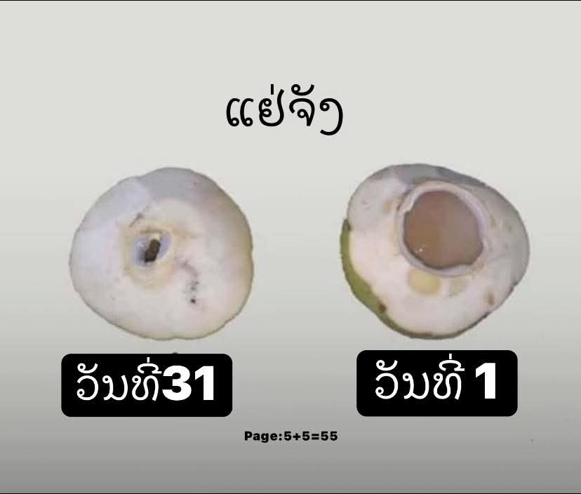 ພອ້ມສະເໝີ😬😁